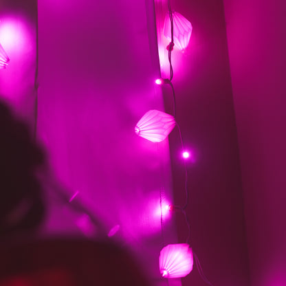 EUPHORIA